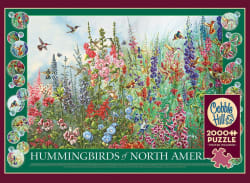 Hummingbirds of North America Birds