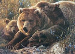Grizzly Family Bear Jigsaw Puzzle