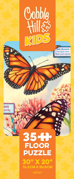 Life Cycle of a Monarch Butterflies and Insects