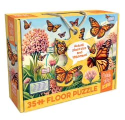 Life Cycle of a Monarch Butterflies and Insects