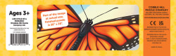 Life Cycle of a Monarch Butterflies and Insects