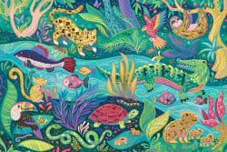 In the Rainforest Sea Life