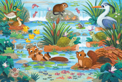 Beaver and Friends Animals