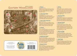 Eastern Woodlands Birds