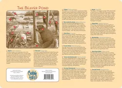 The Beaver Pond Forest Animal