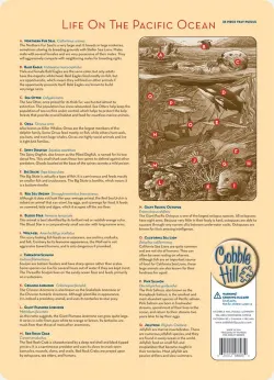 Life on the Pacific Ocean Sea Life