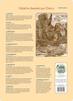 North American Owls Birds