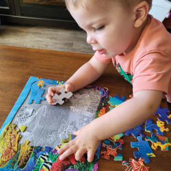 Undersea Turtle Sea Life