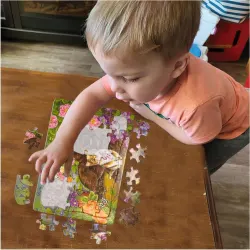 Calico and Chocolate Cats