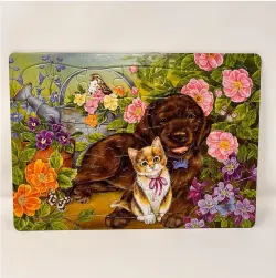 Calico and Chocolate Cats