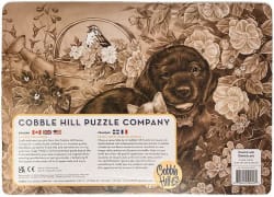 Calico and Chocolate Cats