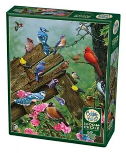 Birds of the Forest Birds