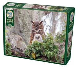 Great Horned Owl Birds