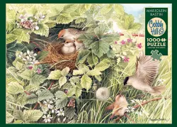 Hidden Nest Birds