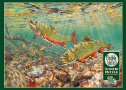 Brook Trout Fish