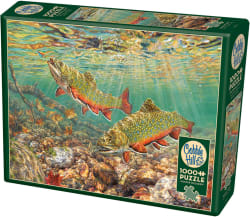 Brook Trout Fish