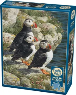 Fisherman&rsquo;s Wharf Birds