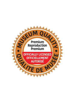 The Young Ladies of Avignon Fine Art