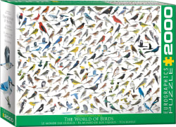 The World of Birds Birds
