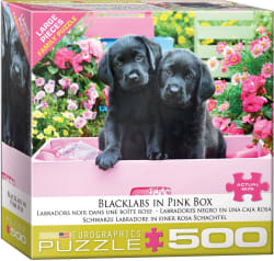 Black Labs in Pink Box Dogs