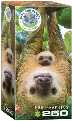 Sloth Animals