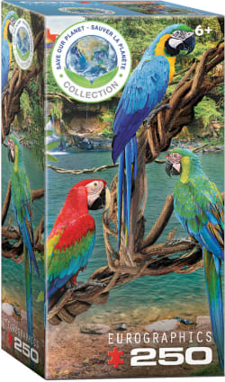 Macaws Birds