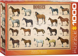 Horses Horse