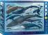 Whales & Dolphins Sea Life Jigsaw Puzzle
