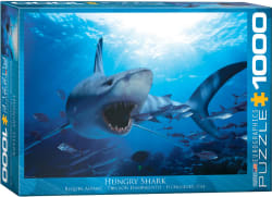 Hungry Shark Sea Life