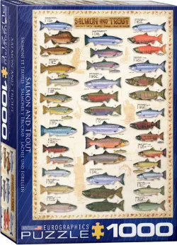 Salmon & Trout Educational