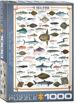 Sea Fish Educational