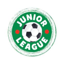 Junior League Soccer Sports Jigsaw Puzzle