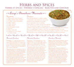 Herbs and Spices Food and Drink