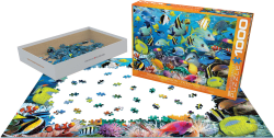 Ocean Colors Sea Life