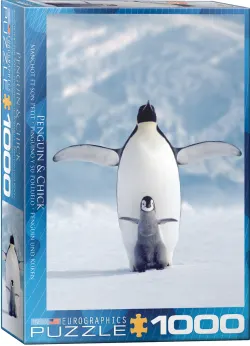 Penguin & Chick Birds