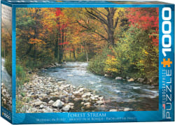 Forest Stream Fall