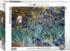 Irises - Van Gogh Fine Art Jigsaw Puzzle