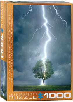 Lightning Striking Tree Photography