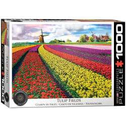 Tulip Field - Netherlands Flower & Garden