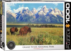 Grand Teton National Park Animals