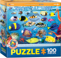 Tropical Fish Sea Life