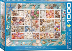 Seashell Collection Sea Life