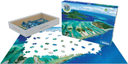 Coral Reef Beach & Ocean