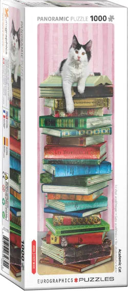 Academic Cat Cats