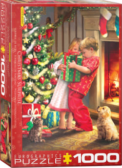 Chistmas Surprise Christmas