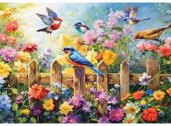 Playful Garden Birds Birds