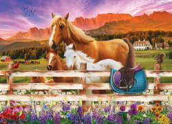 Horse and Foal Horse