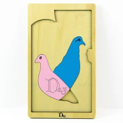 Day Birds