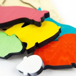 My Chunky Pets Animals