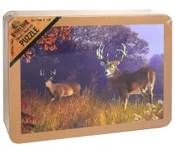 Deer Scene Forest Animal